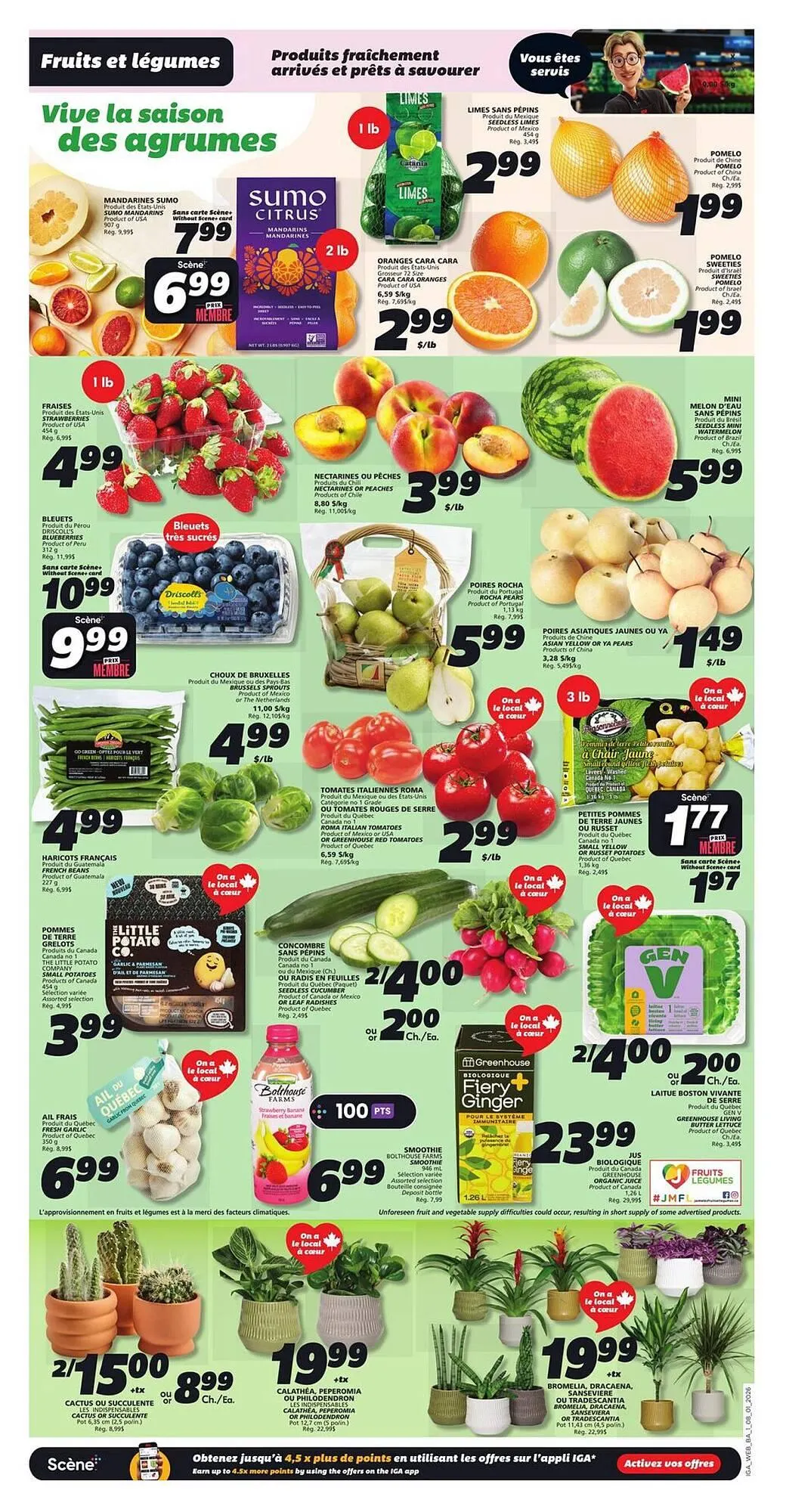 IGA flyer from January 8 to January 14 2026 - flyer page 3