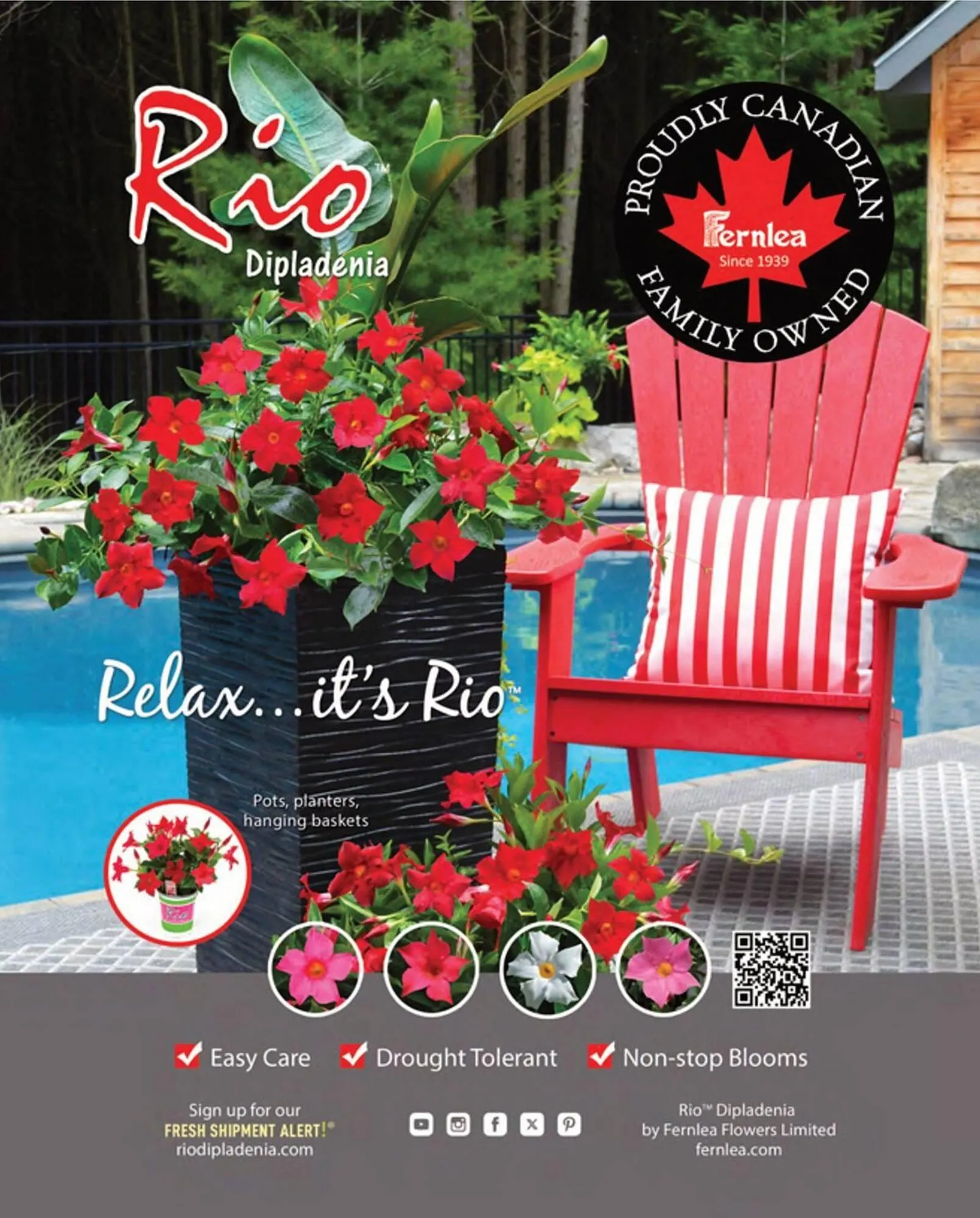 LCBO flyer from May 9 to May 15 2025 - flyer page 11