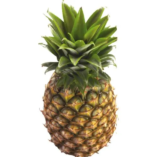 Golden Pineapple