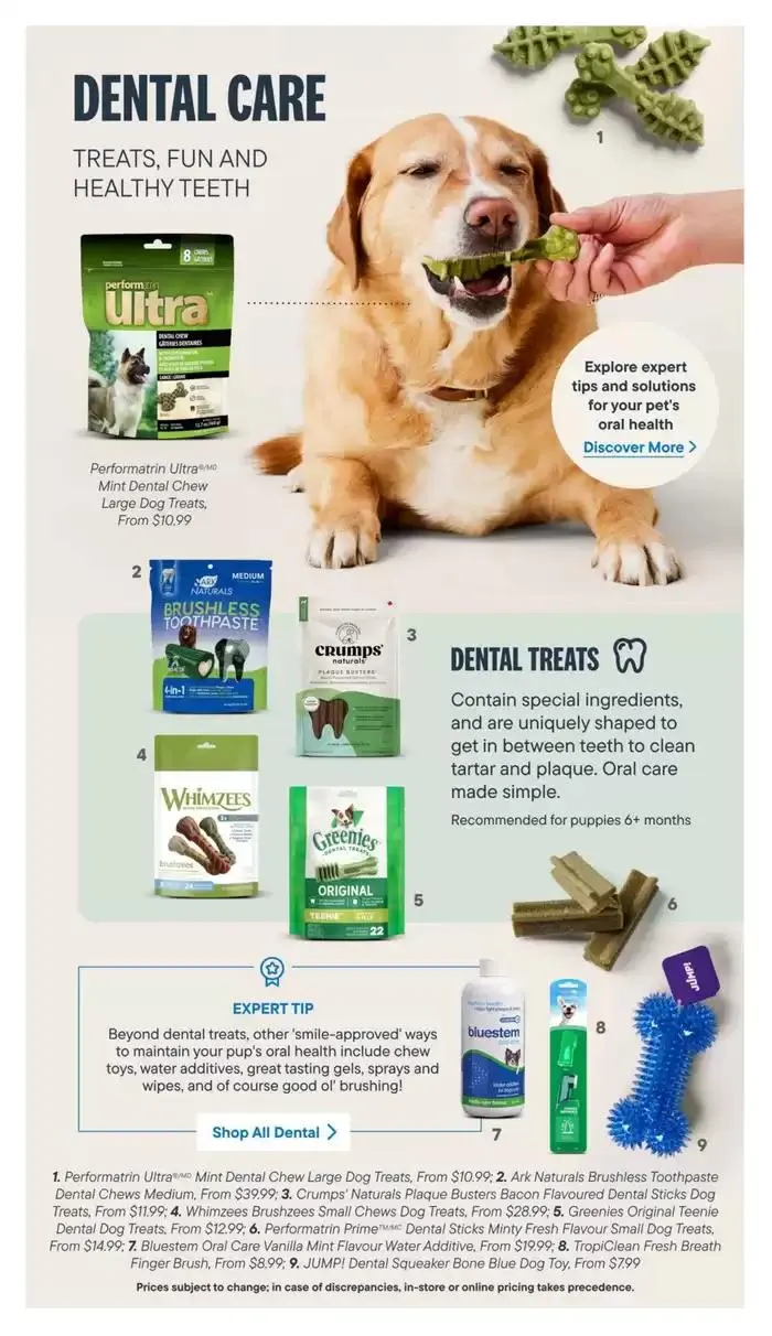 Devoted Dog Parent Guide from March 3 to March 31 2025 - flyer page 14