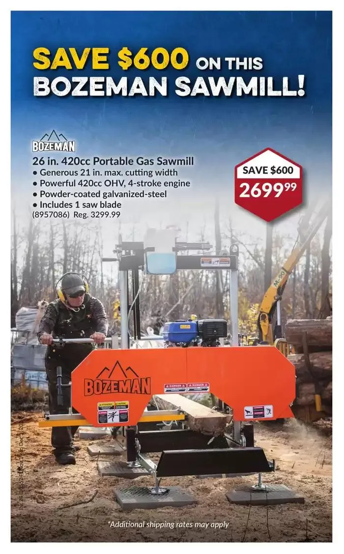 National Sale from November 19 to December 1 2024 - flyer page 36