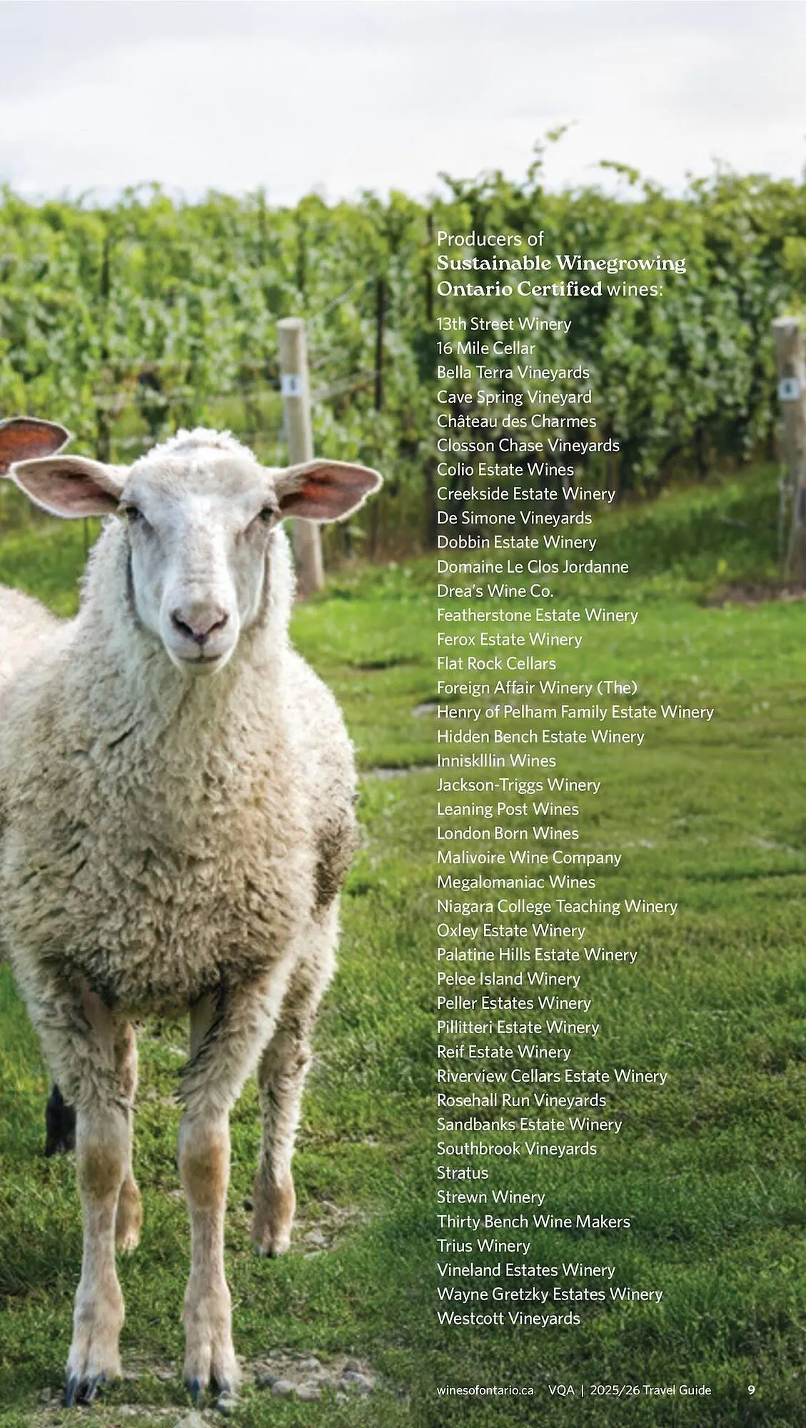 LCBO flyer from May 9 to May 15 2025 - flyer page 139