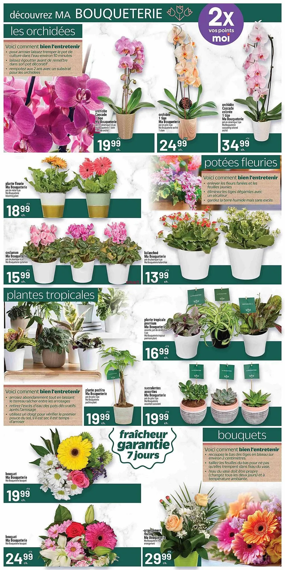 Metro flyer from January 22 to January 28 2026 - flyer page 6