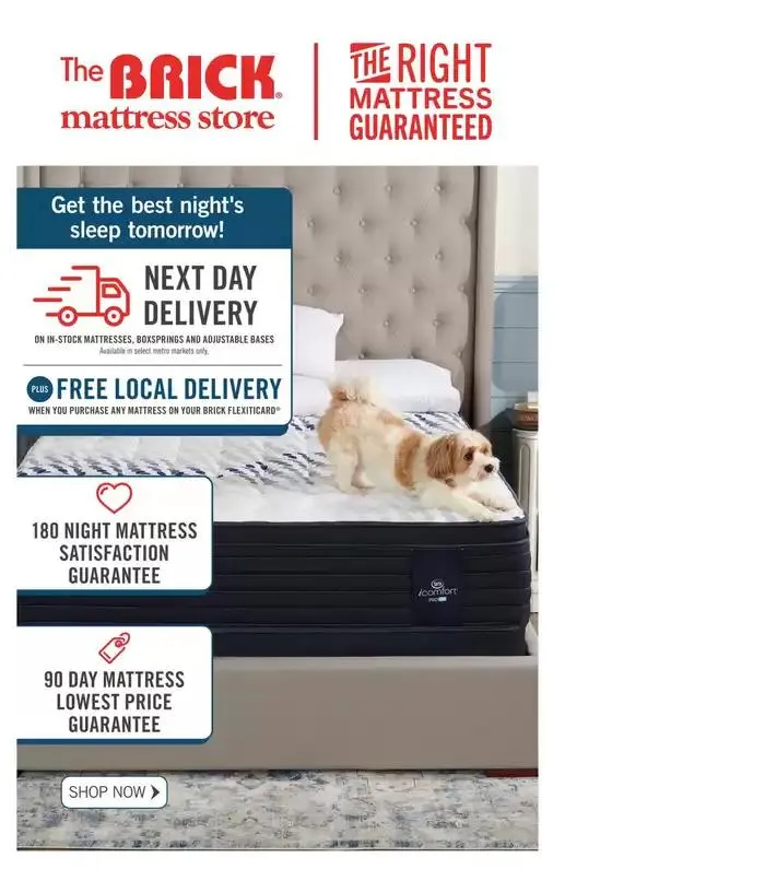 Great discounts on selected products from February 28 to March 12 2025 - flyer page 10