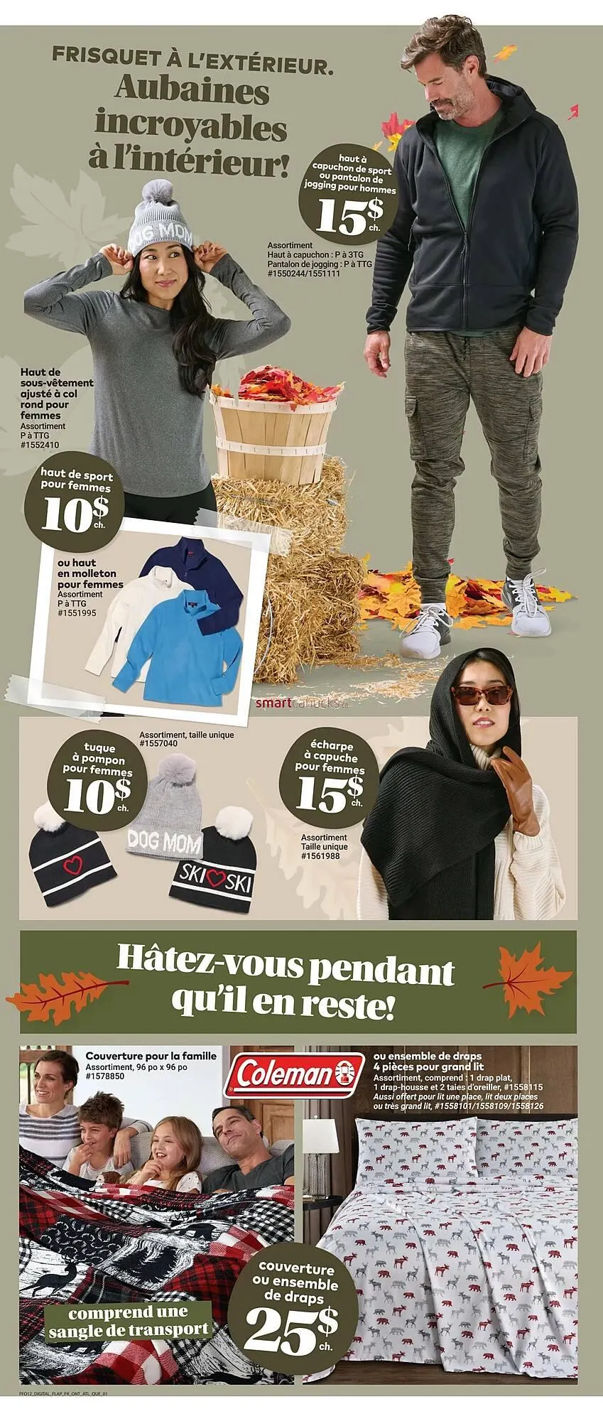 Giant Tiger flyer from October 22 to October 28 2025 - flyer page 4