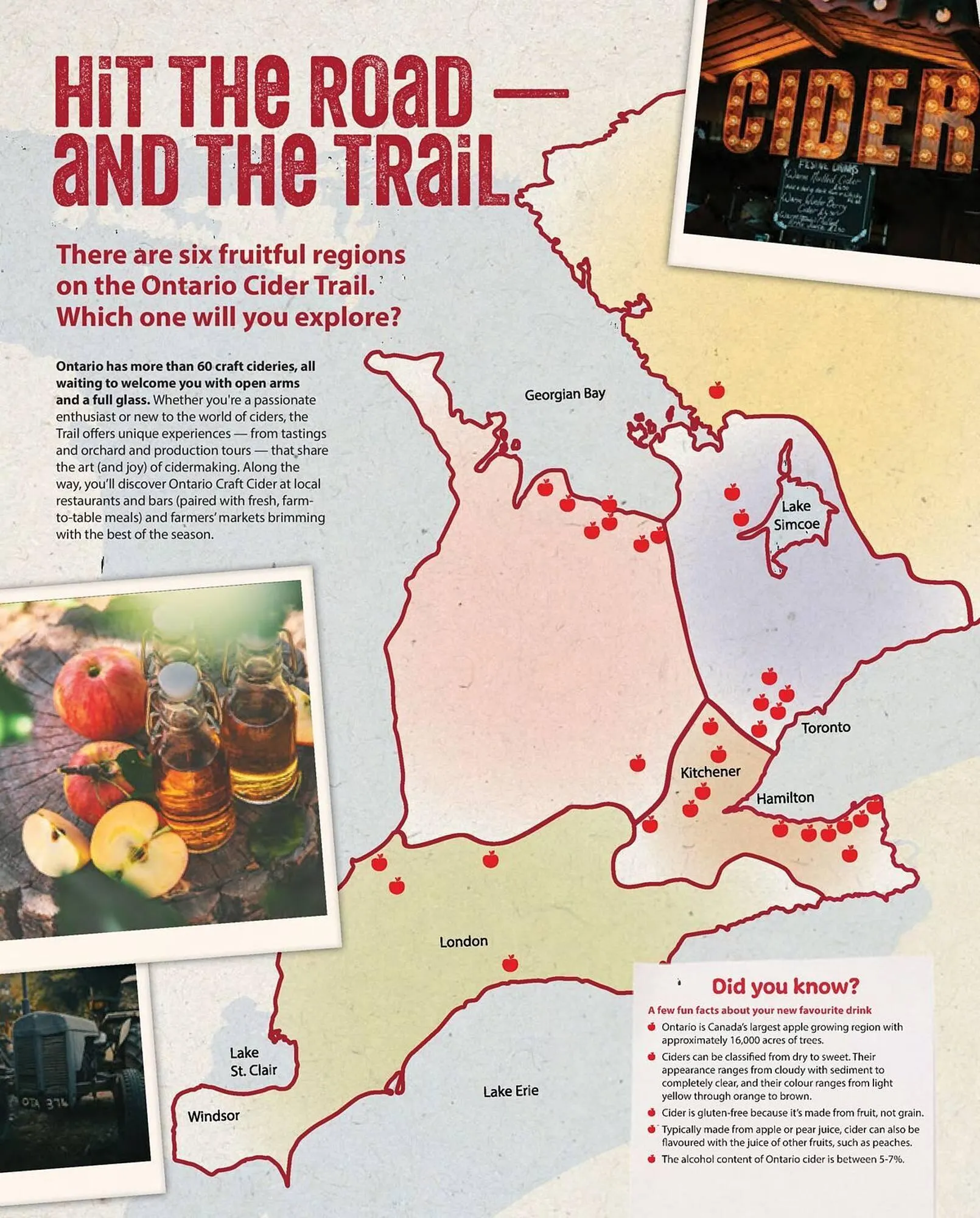 LCBO flyer from May 9 to May 15 2025 - flyer page 16