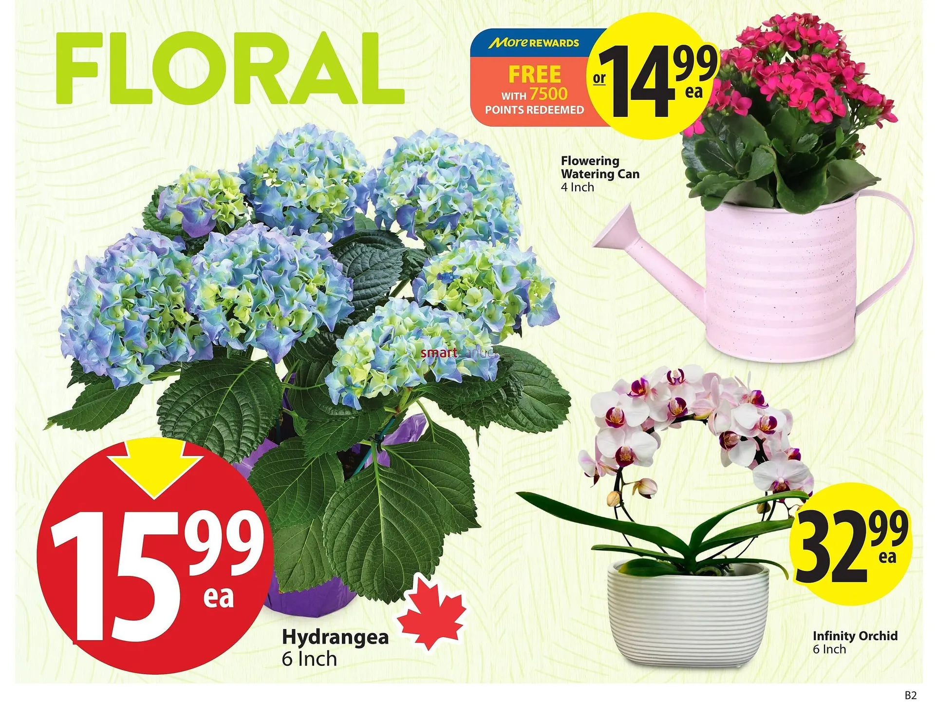 Save on Foods flyer from May 2 to May 8 2025 - flyer page 9