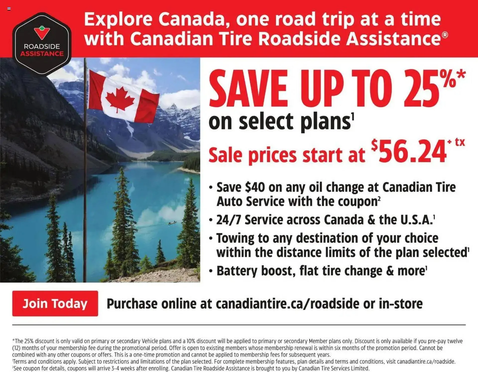 Canadian Tire flyer from August 14 to August 21 2025 - flyer page 17