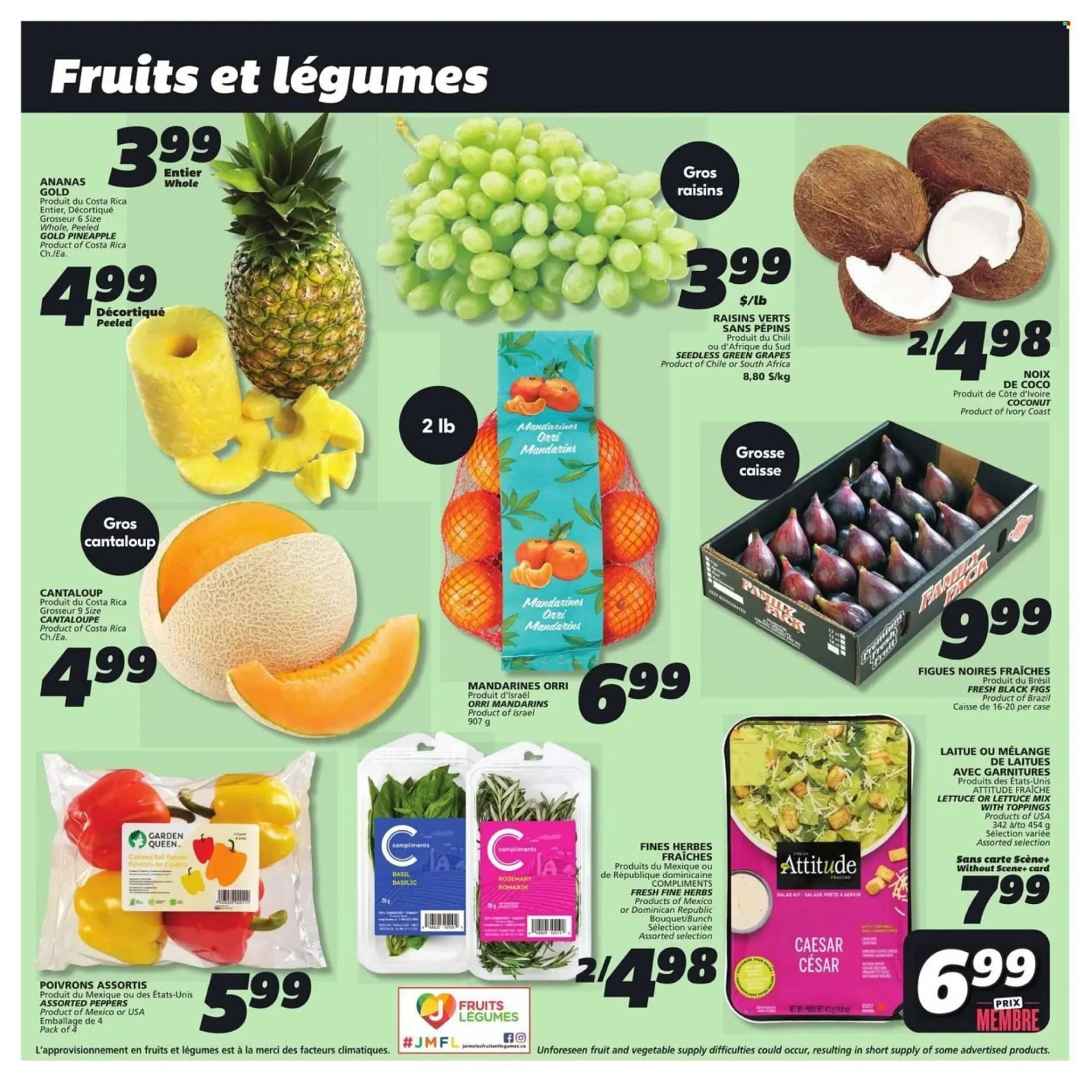 IGA flyer from April 17 to April 23 2025 - flyer page 11