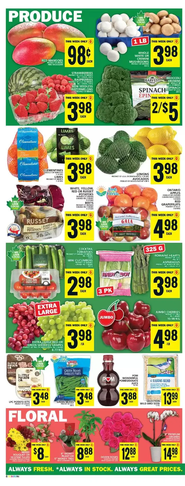 Discover attractive offers from January 23 to January 29 2025 - flyer page 12