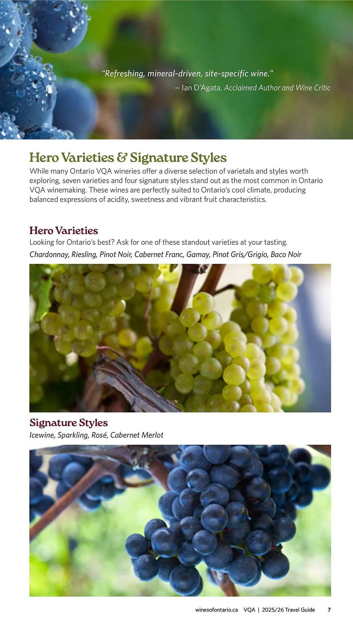 LCBO flyer from May 9 to May 15 2025 - flyer page 137