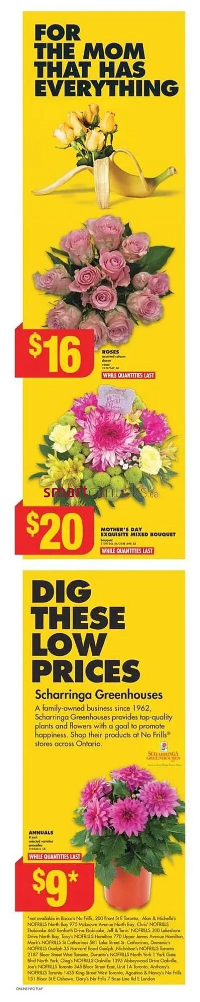 No Frills flyer from May 9 to May 15 2024 - flyer page 6
