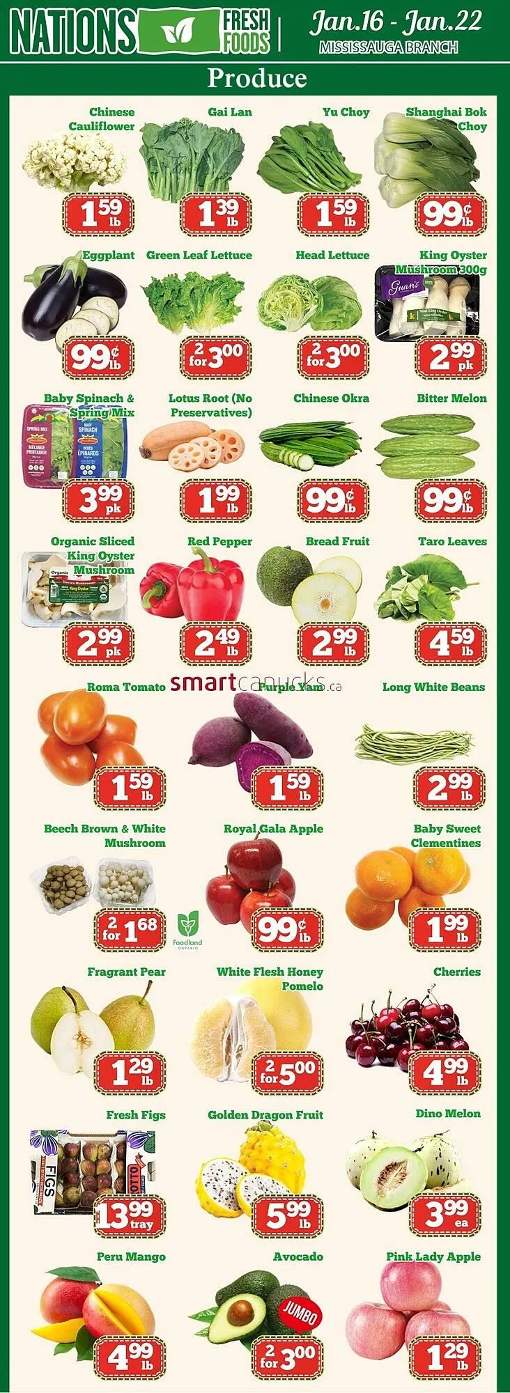 Nations Fresh Foods flyer from January 16 to January 22 2026 - flyer page 1
