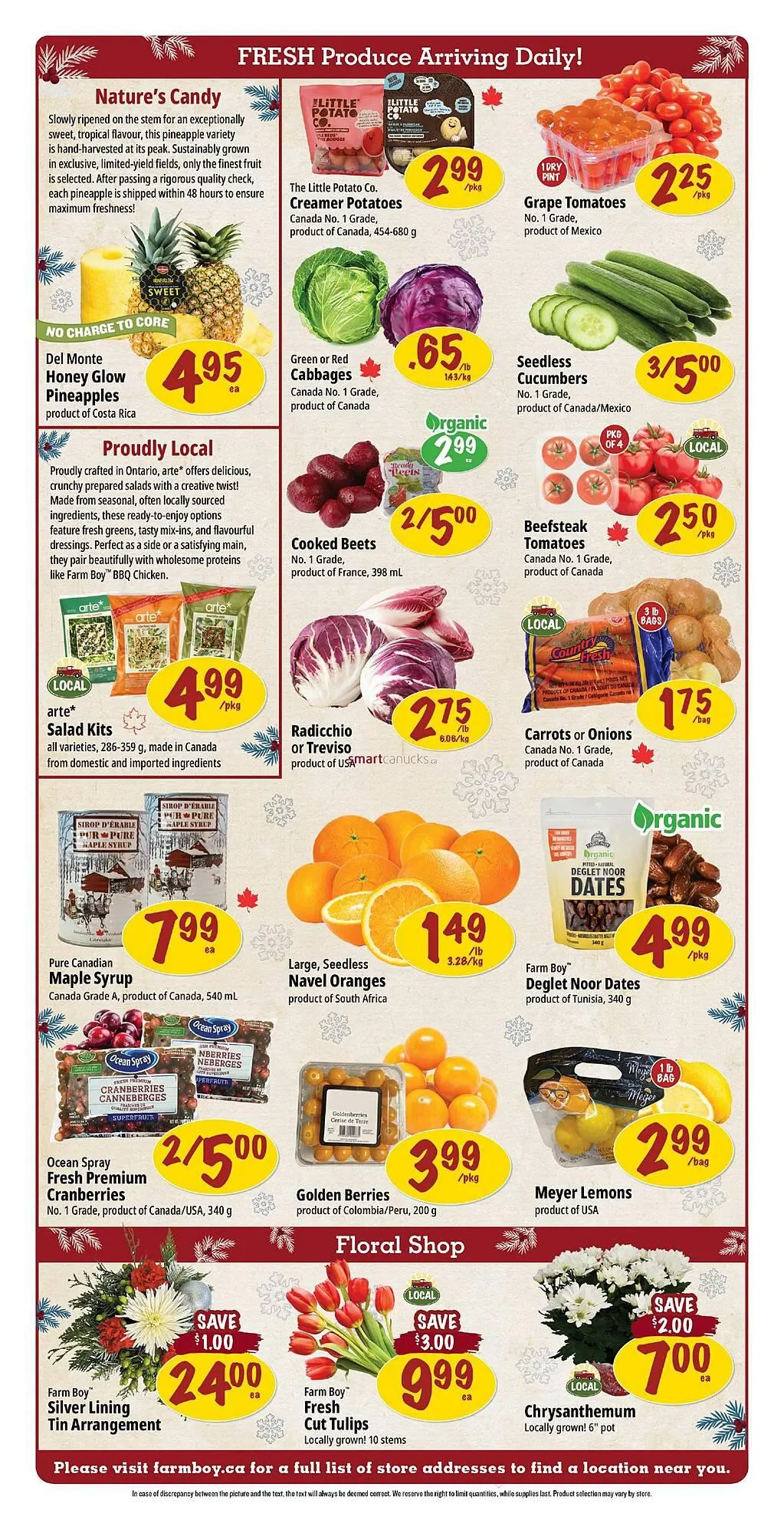 Farm Boy flyer from December 18 to December 24 2025 - flyer page 4