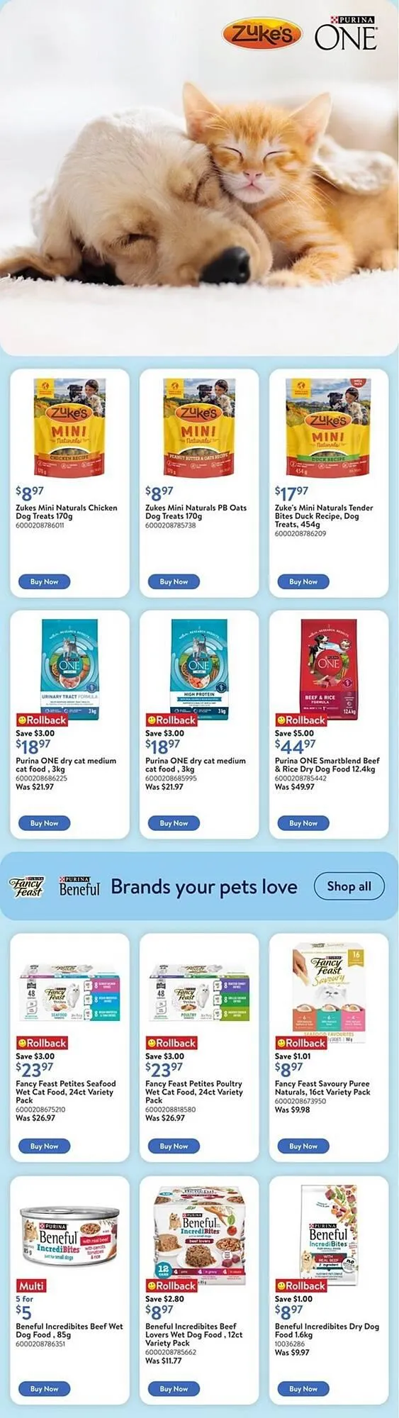 Walmart flyer from May 15 to May 21 2025 - flyer page 5
