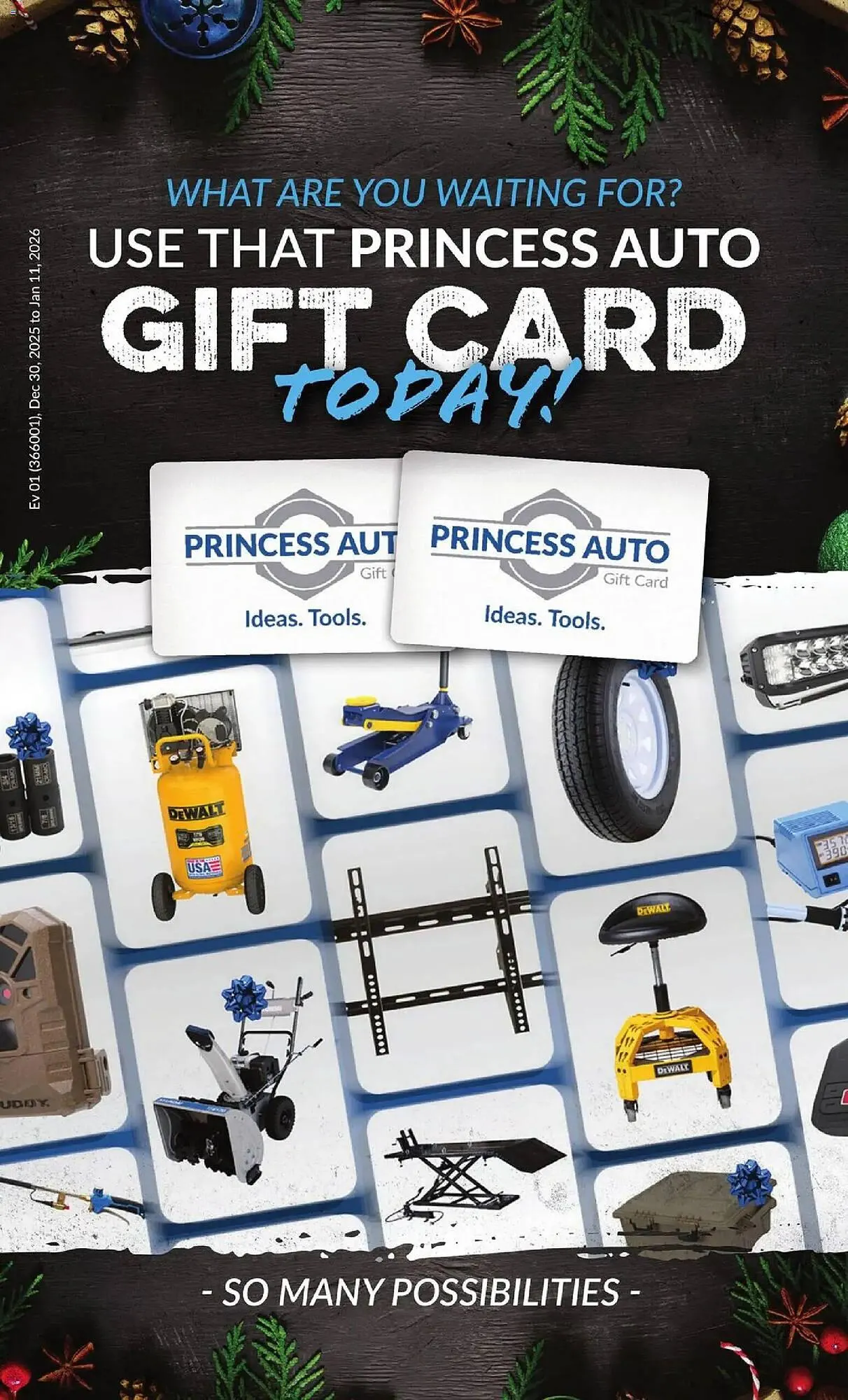 Princess Auto flyer from December 30 to January 11 2026 - flyer page 12