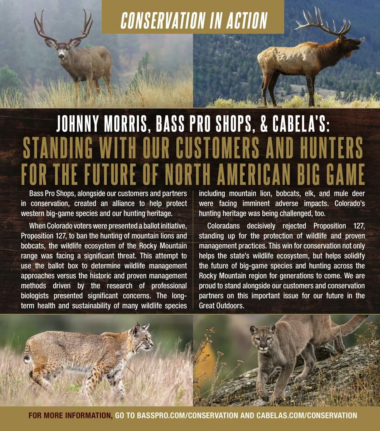 Bass Pro Current flyer from June 30 to July 14 2025 - flyer page 5
