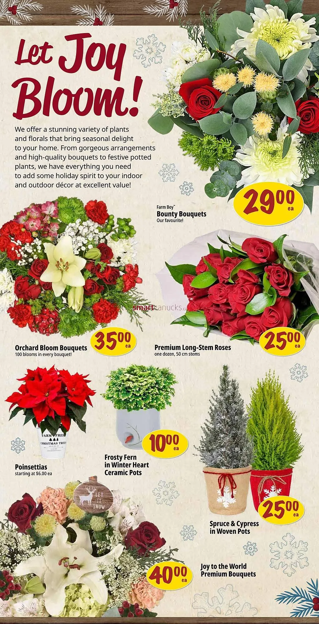 Farm Boy flyer from December 11 to December 17 2025 - flyer page 7