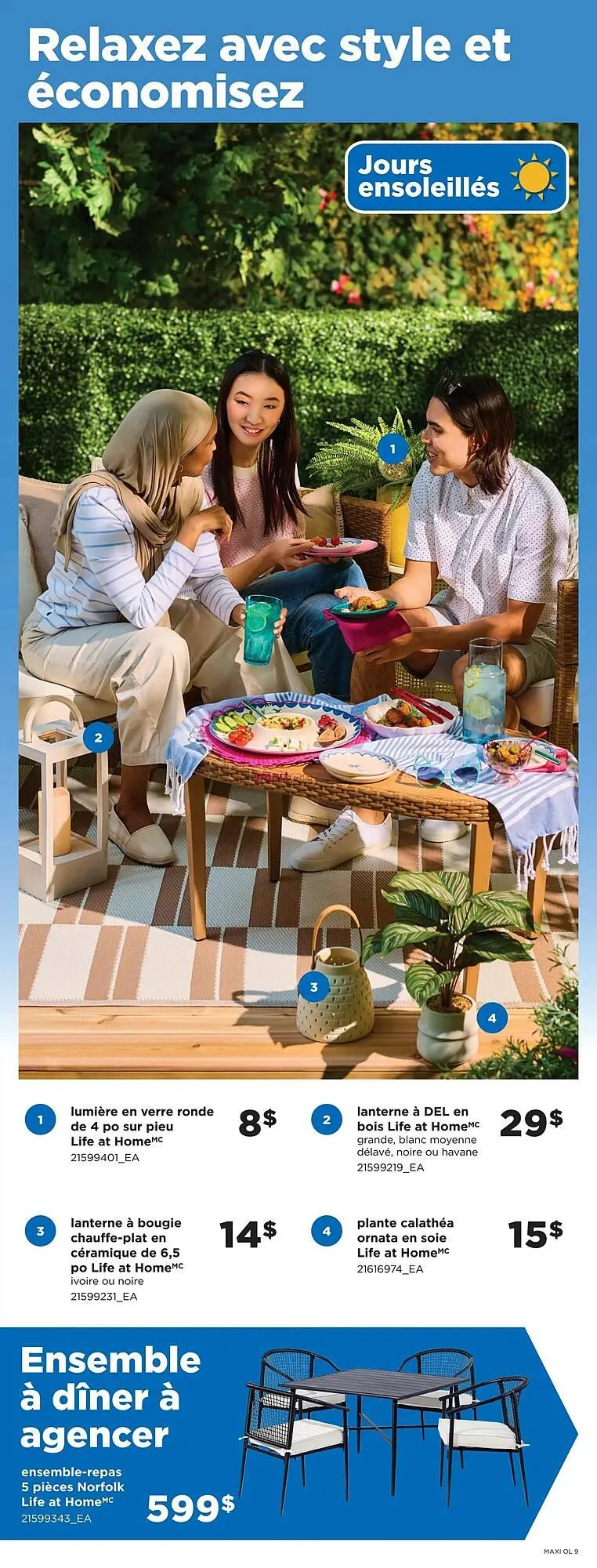 Maxi flyer from April 17 to April 23 2025 - flyer page 9