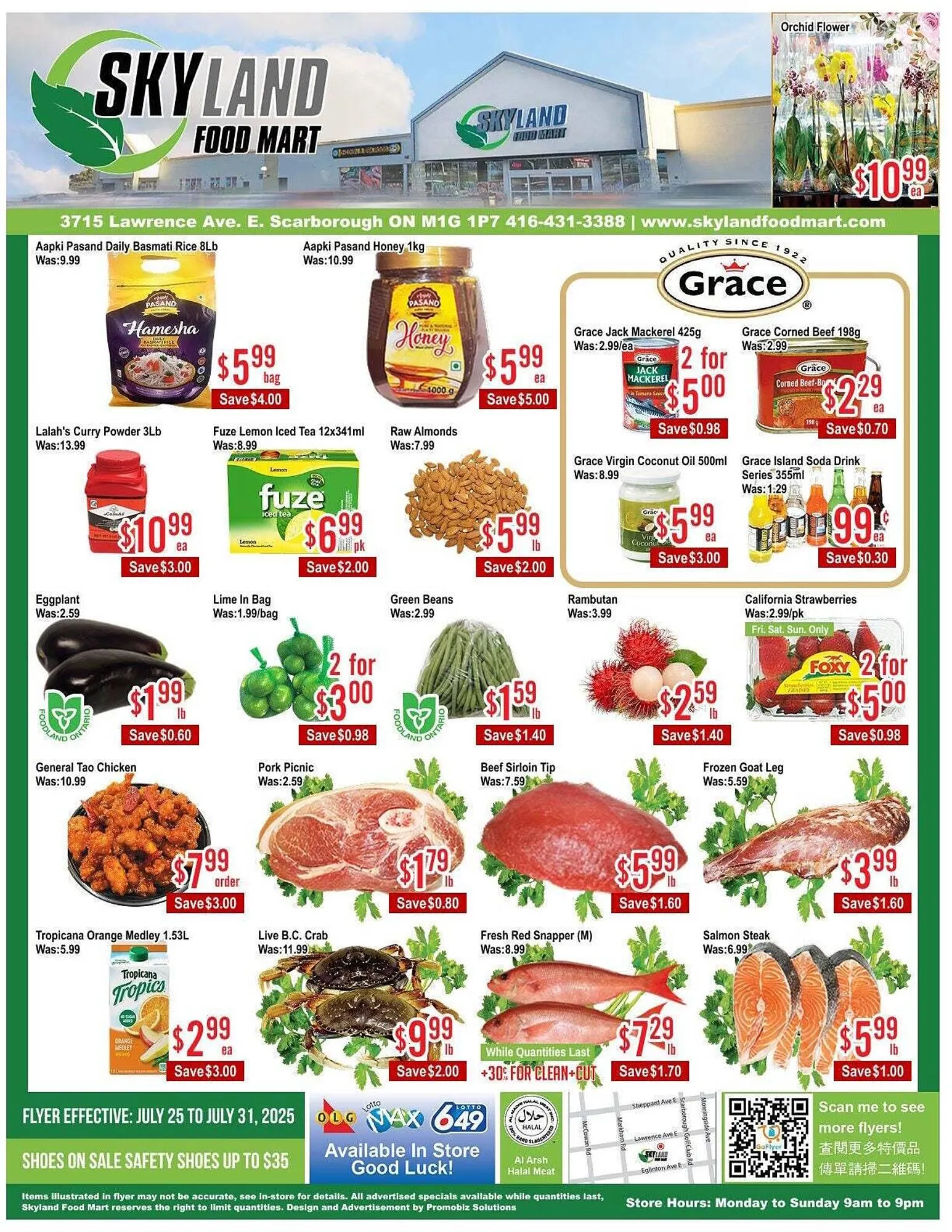 Skyland Foodmart flyer from July 25 to August 1 2025 - flyer page 1