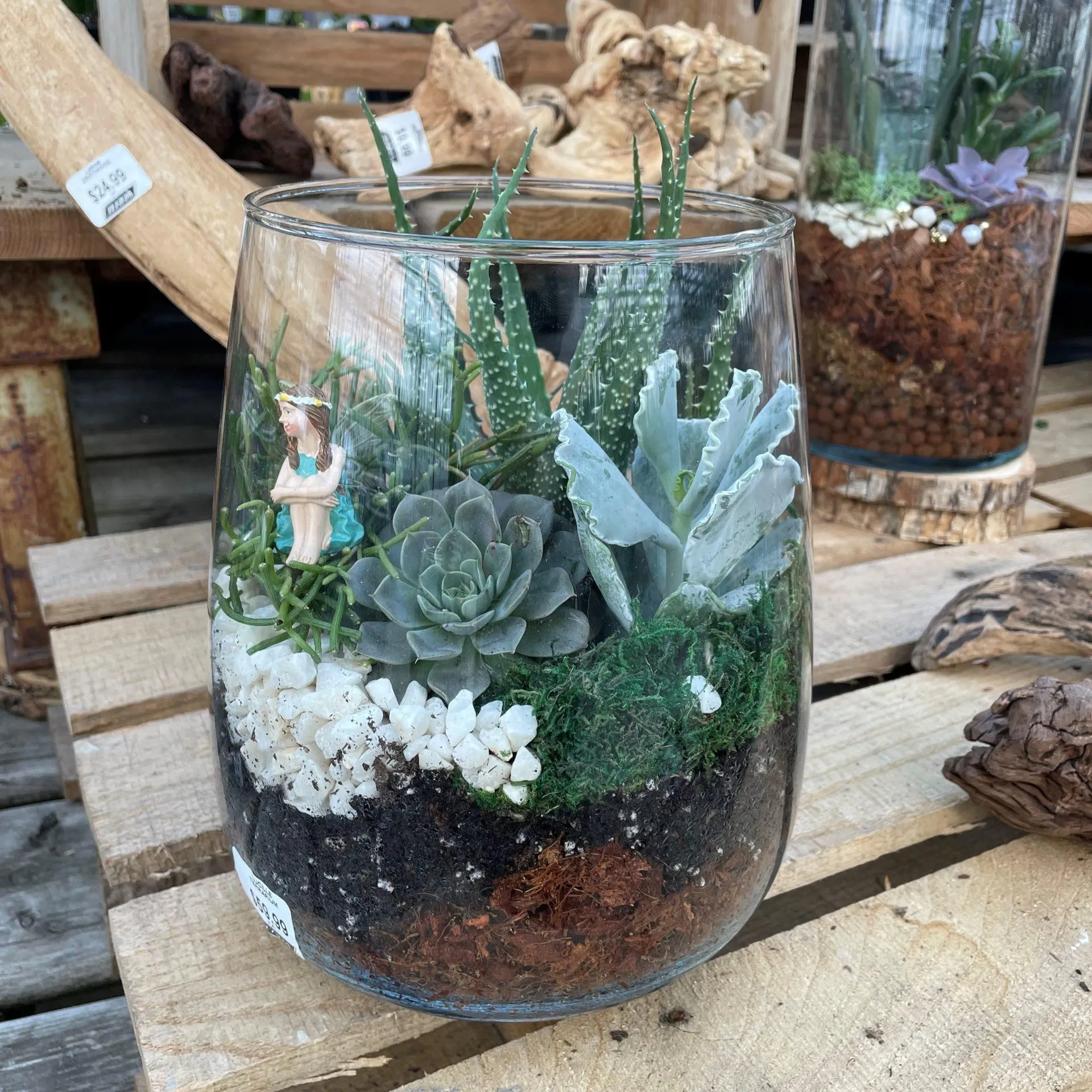 Succulent Fae Garden Terrarium
