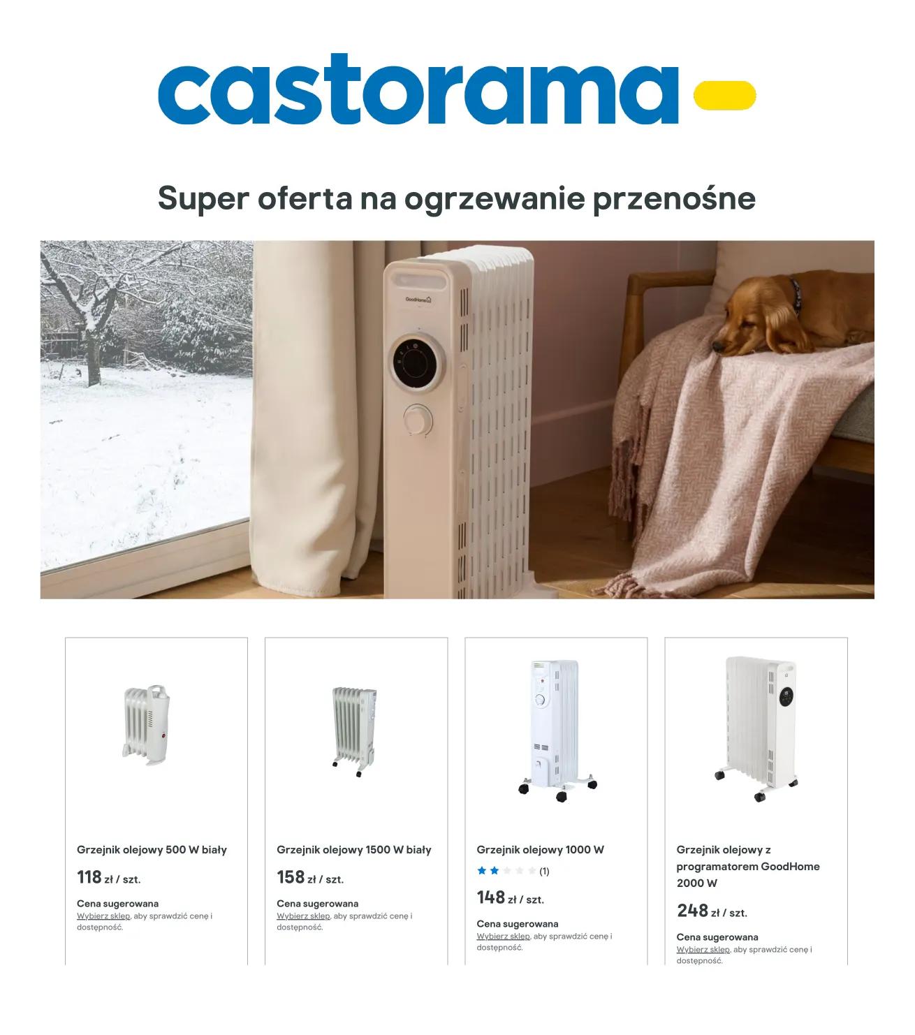 Gazetka Oferta specjalna Castorama od 9 stycznia do 31 stycznia 2025 - Strona 1