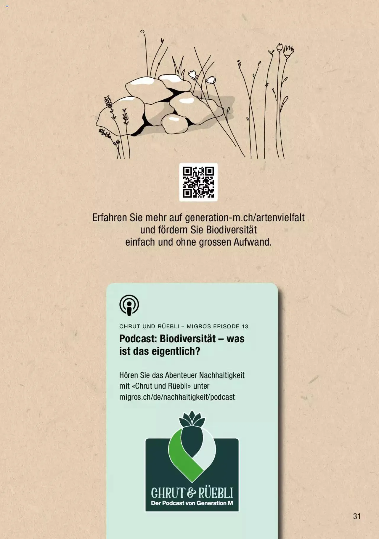 DO IT+GARDEN MIGROS - Biodiversität Broschüre von 9. März bis 31. Dezember 2024 - Prospekt seite  31
