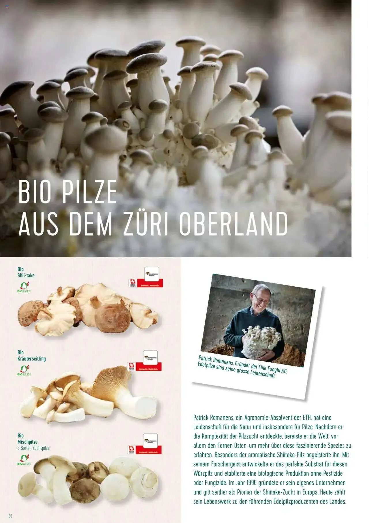 Prodega Aktionen Origine Sortimentsbroschüre von 1. Mai bis 31. Dezember 2024 - Prospekt seite  36