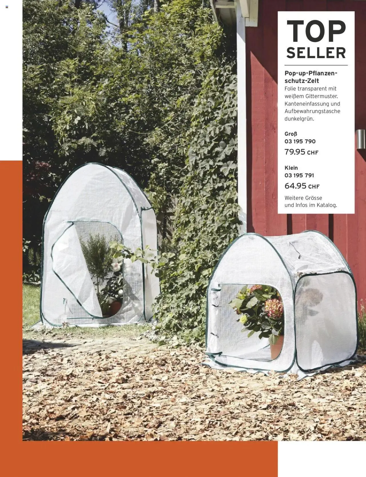 Tchibo Aktionen von 13. September bis 31. Dezember 2024 - Prospekt seite 146