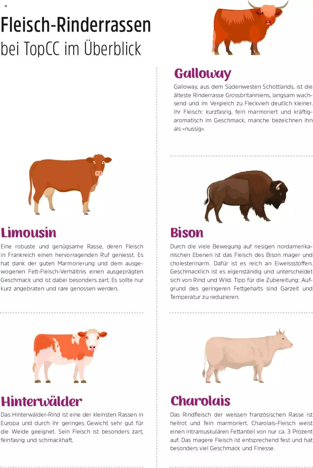 TopCC Clever und Charmant von 1. Mai bis 31. Dezember 2023 - Prospekt seite  44