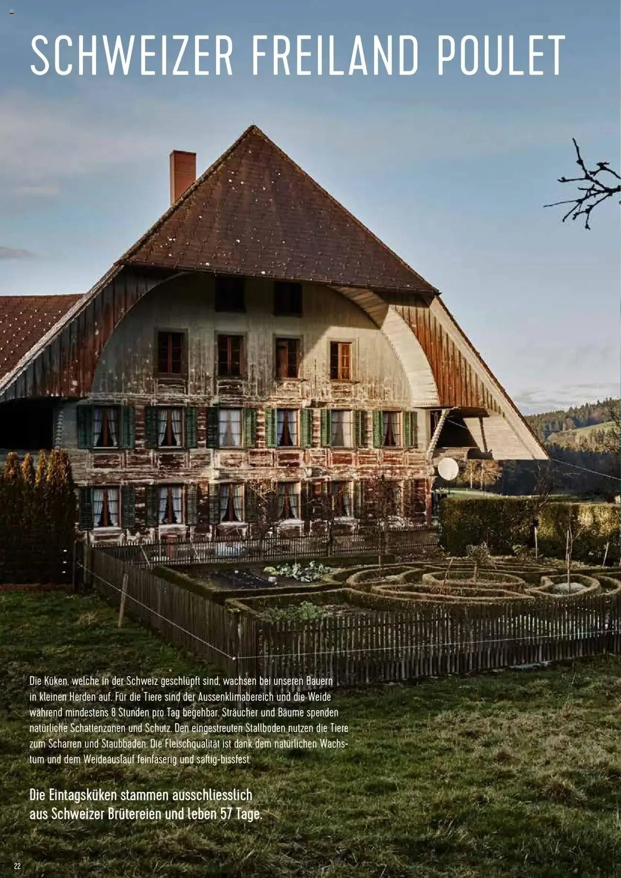 Prodega Aktionen Origine Sortimentsbroschüre von 1. Mai bis 31. Dezember 2024 - Prospekt seite  22