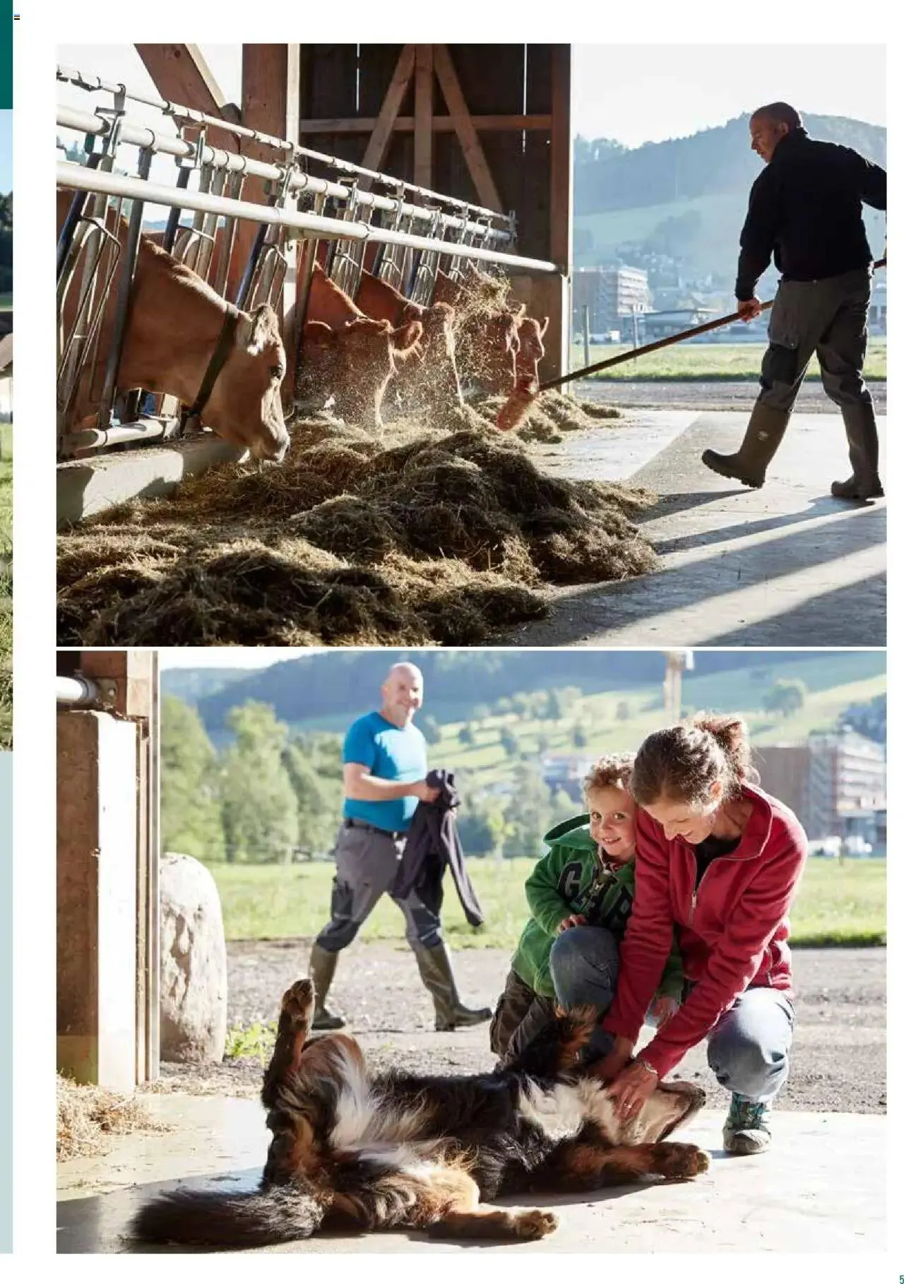 Prodega Aktionen Origine Sortimentsbroschüre von 1. Mai bis 31. Dezember 2024 - Prospekt seite  5