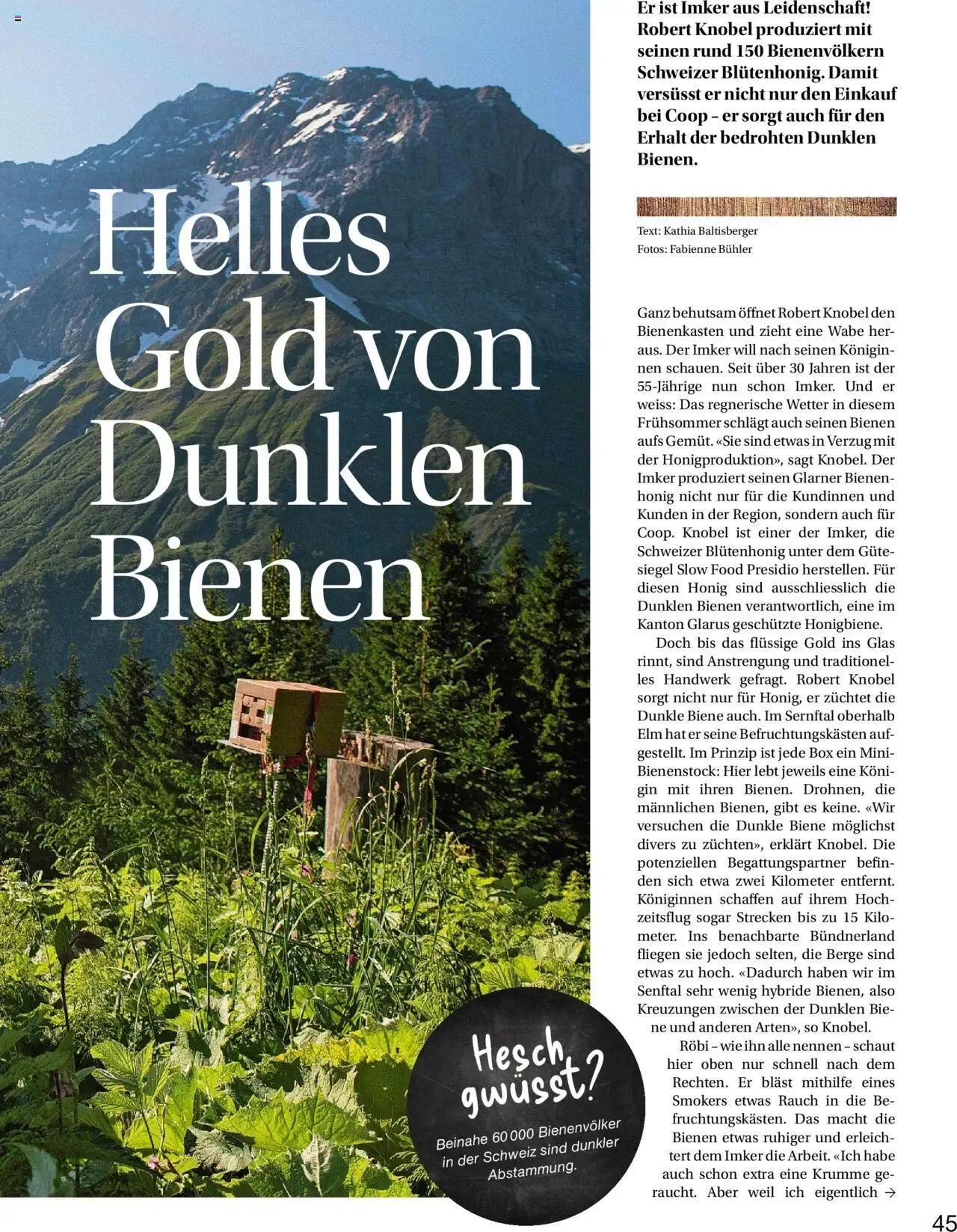 Coop Aktionen Artisonol von 1. Oktober bis 7. Oktober 2024 - Prospekt seite 45