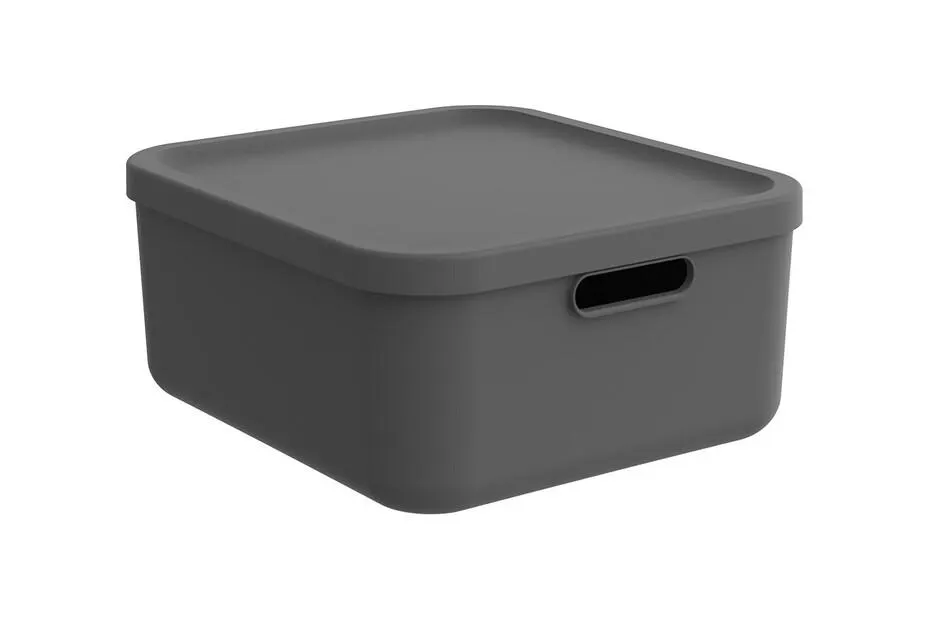 Rotho Box 12 l Albula Light