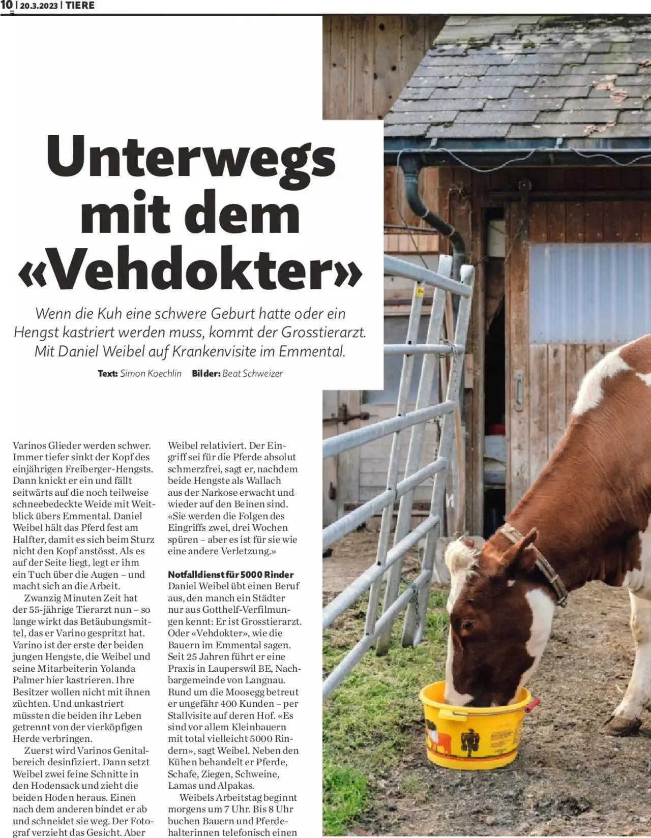 Migros - Magazin von 20. März bis 31. Dezember 2023 - Prospekt seite 10