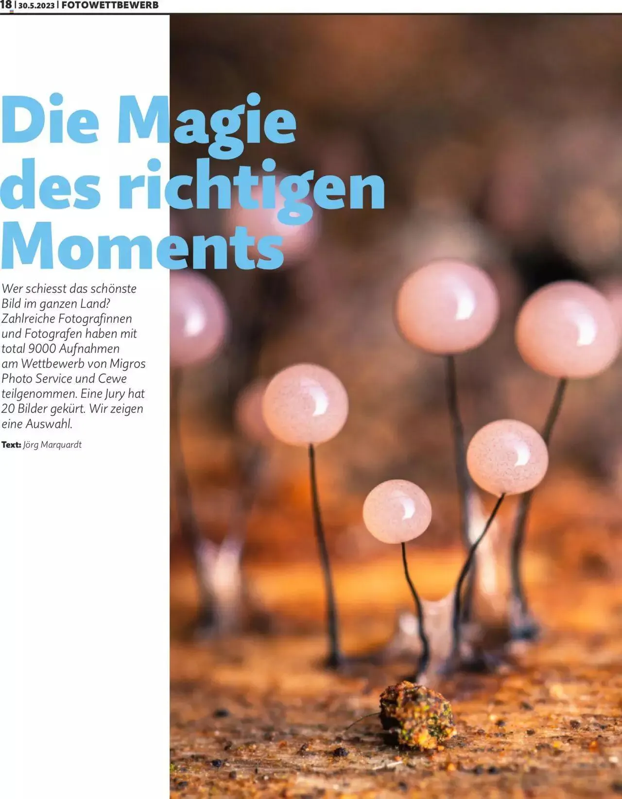 Migros Magazin von 30. Mai bis 31. Dezember 2023 - Prospekt seite  18
