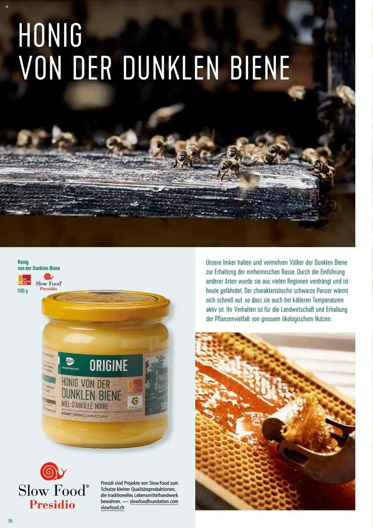 Prodega Aktionen Origine Sortimentsbroschüre von 1. Mai bis 31. Dezember 2024 - Prospekt seite  56