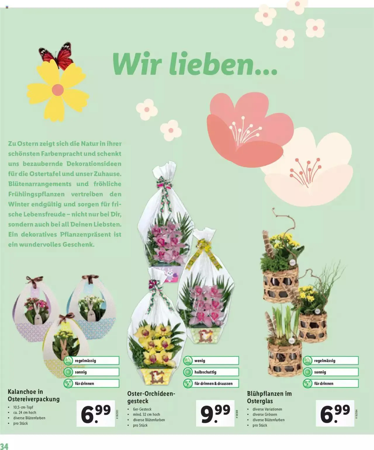 Lidl - Ostern von 2. März bis 31. Dezember 2023 - Prospekt seite  34