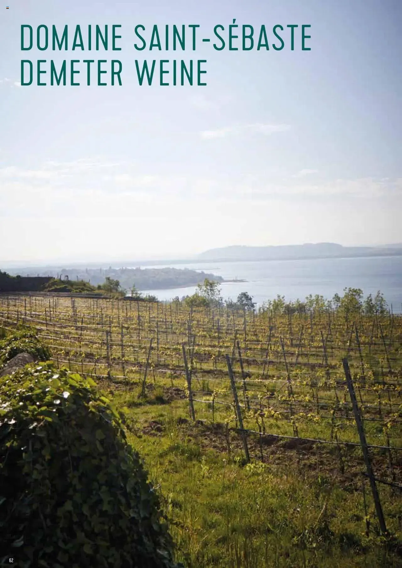 Prodega Aktionen Origine Sortimentsbroschüre von 1. Mai bis 31. Dezember 2024 - Prospekt seite  62