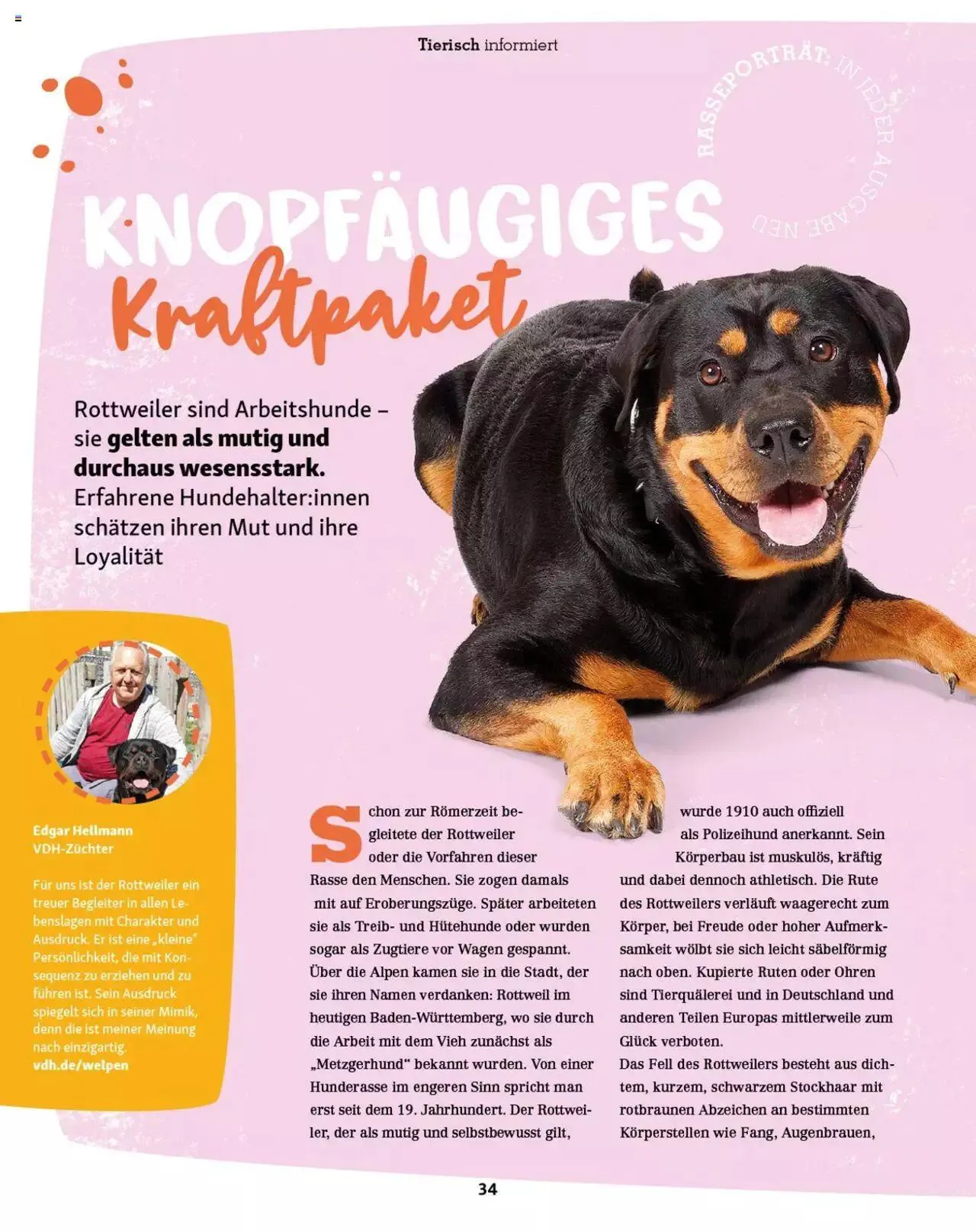 Fressnapf Magazin von 1. Mai bis 31. Dezember 2023 - Prospekt seite  34