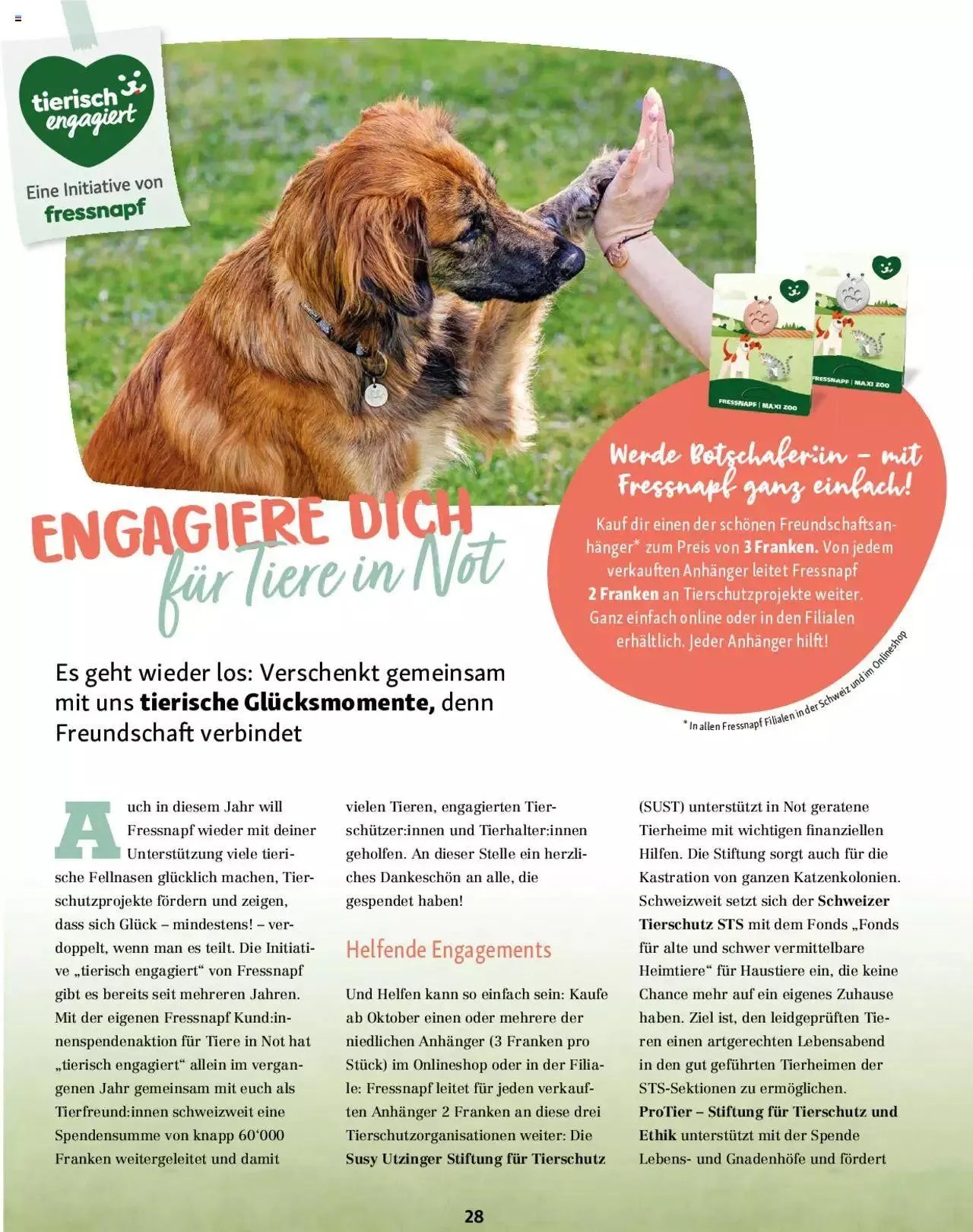 Fressnapf Magazin von 1. September bis 31. Oktober 2023 - Prospekt seite 28