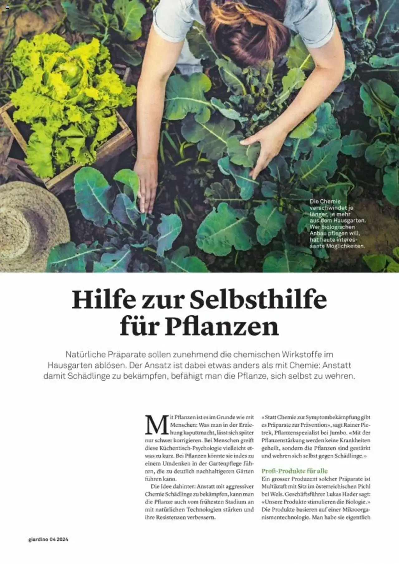 Jumbo Aktionen giardino von 21. Oktober bis 31. Dezember 2024 - Prospekt seite  18