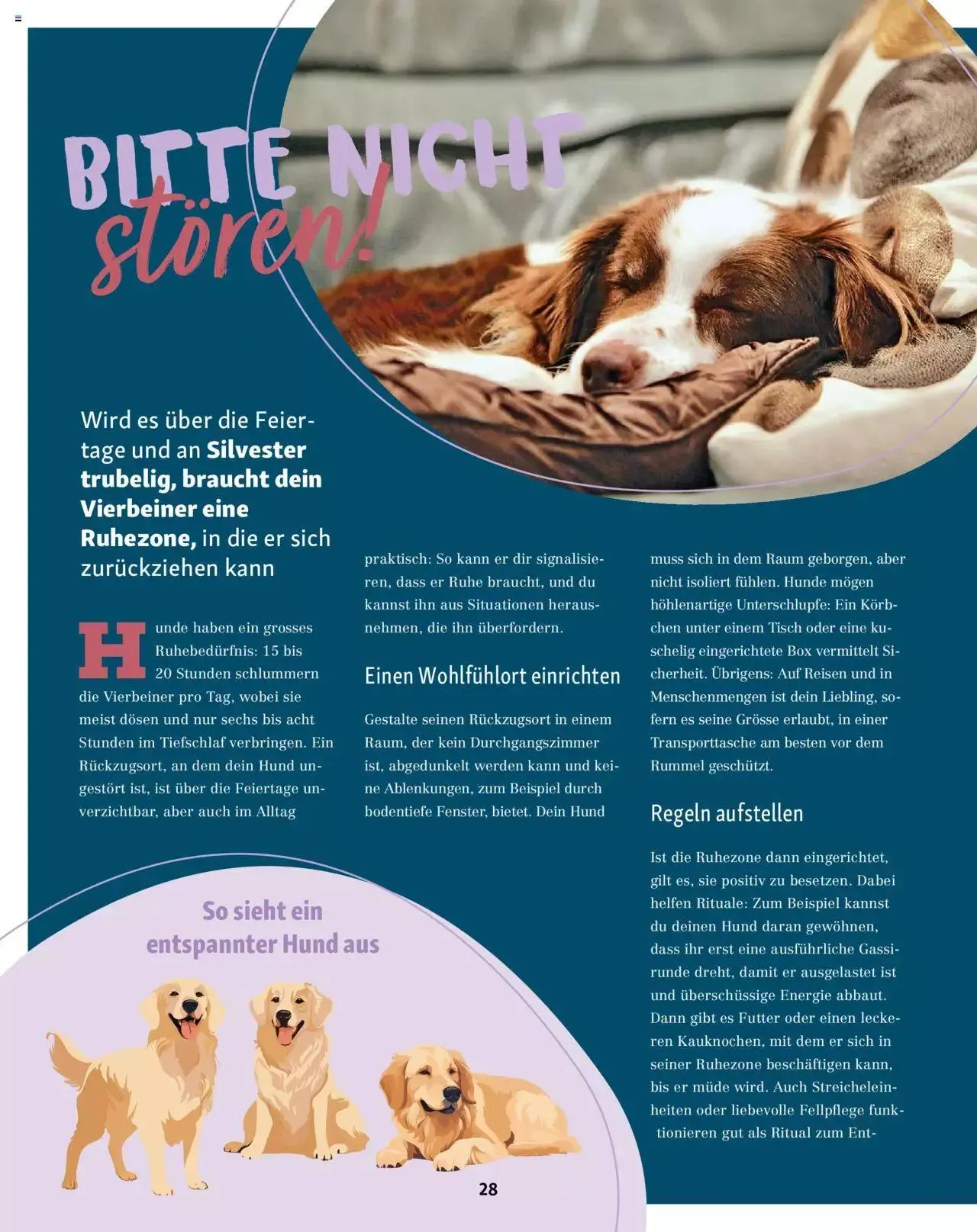 Fressnapf Magazin von 1. November bis 31. Dezember 2023 - Prospekt seite 28