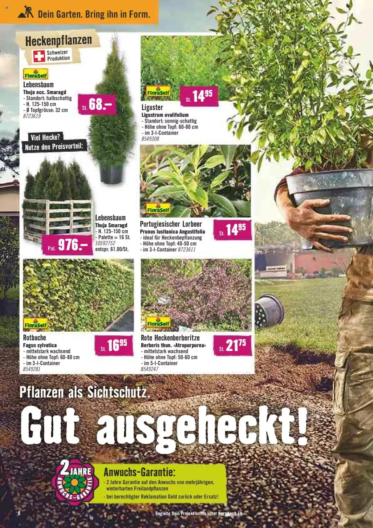 Hornbach Aktionen von 1. Mai bis 31. Dezember 2023 - Prospekt seite 8