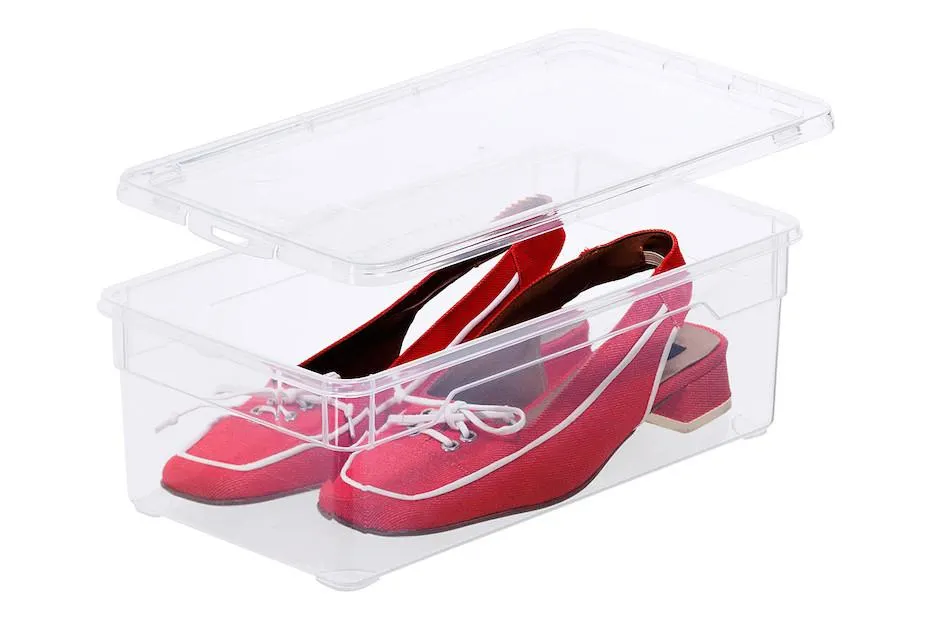 Rotho Deckel für Clear Box Lady Shoe | 33.5 × 19.5 × 1.2