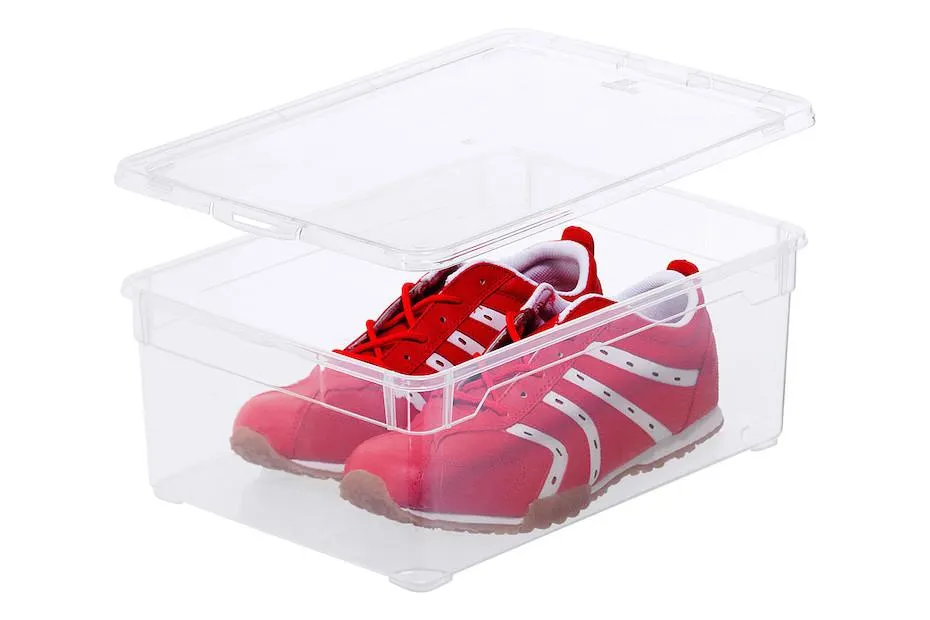Rotho Deckel für Clear Box Män Schuh | 10 l