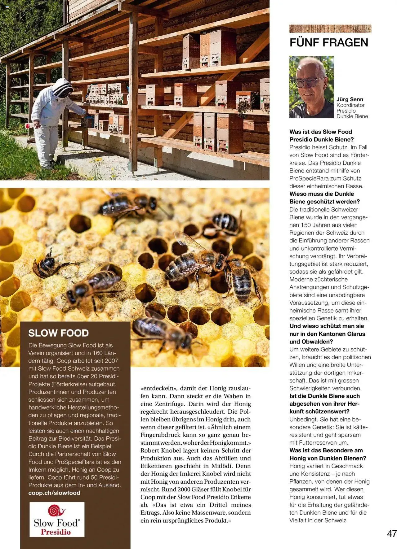 Coop Aktionen Artisonol von 1. Oktober bis 7. Oktober 2024 - Prospekt seite 47