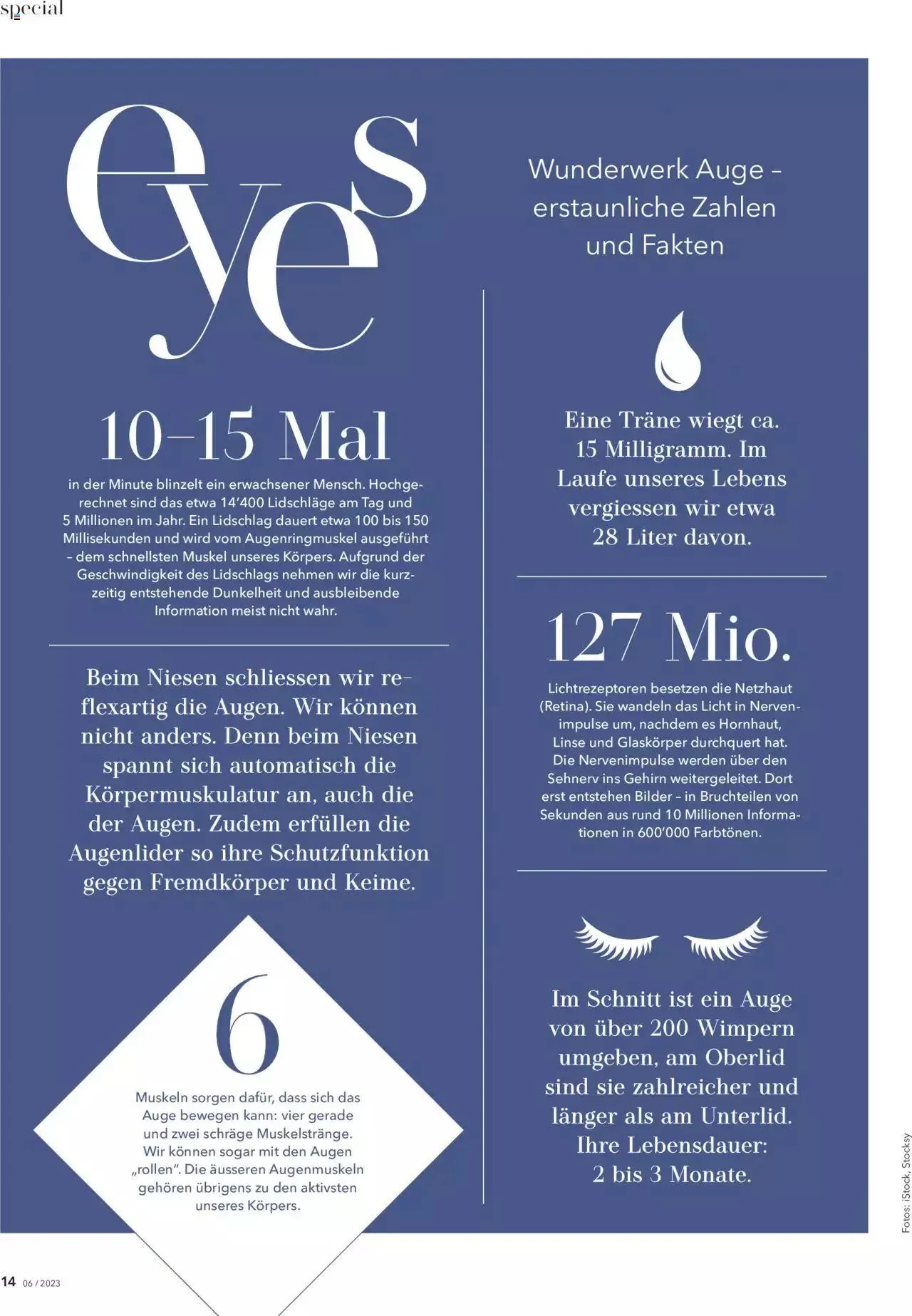 Coop City Aktionen Beauty & Life von 14. November bis 31. Dezember 2023 - Prospekt seite  14