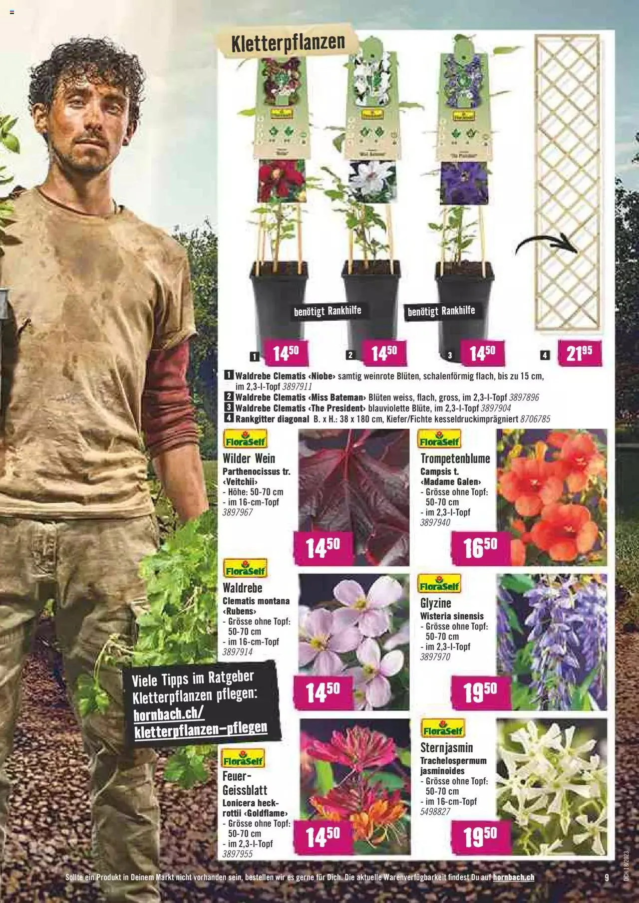 Hornbach Aktionen von 1. Mai bis 31. Dezember 2023 - Prospekt seite  9