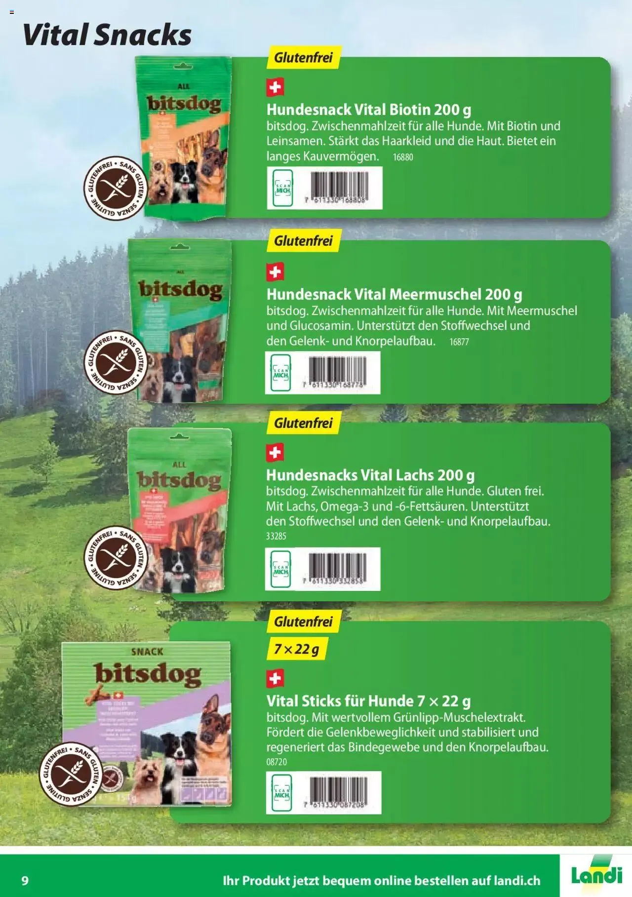 Landi - Bitsdog 2023 von 6. Januar bis 31. Dezember 2023 - Prospekt seite  9
